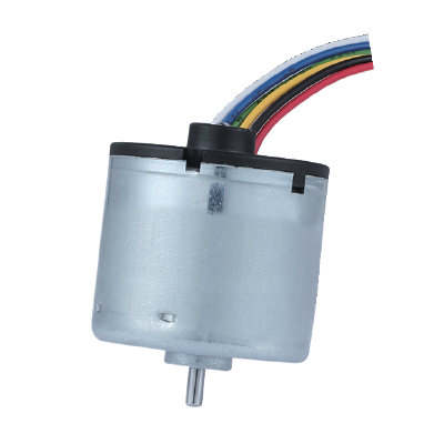 Brushless DC Motor Appearance