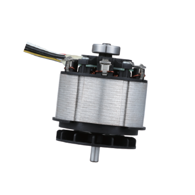 Brushless DC Motor Appearance